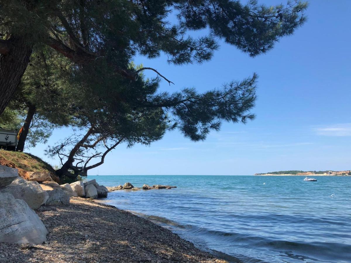 Holiday park Albatross Mobile Homes On Valamar Camping Lanterna Tar-Vabriga